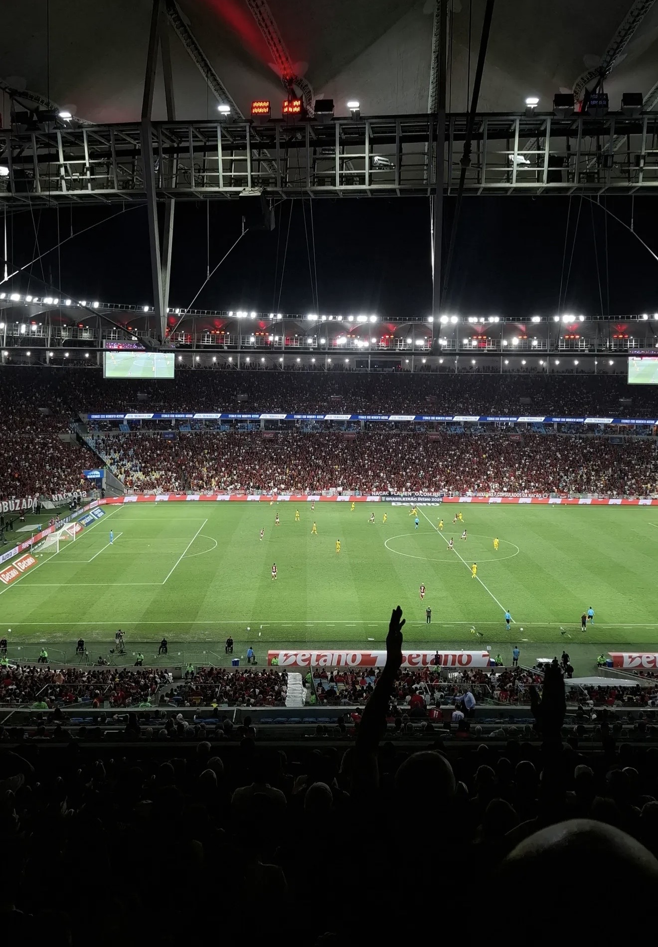 Os porcos tão sentindo o cheiro Os porcos tão sentindo o cheiro