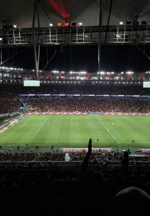 Os porcos tão sentindo o cheiro
