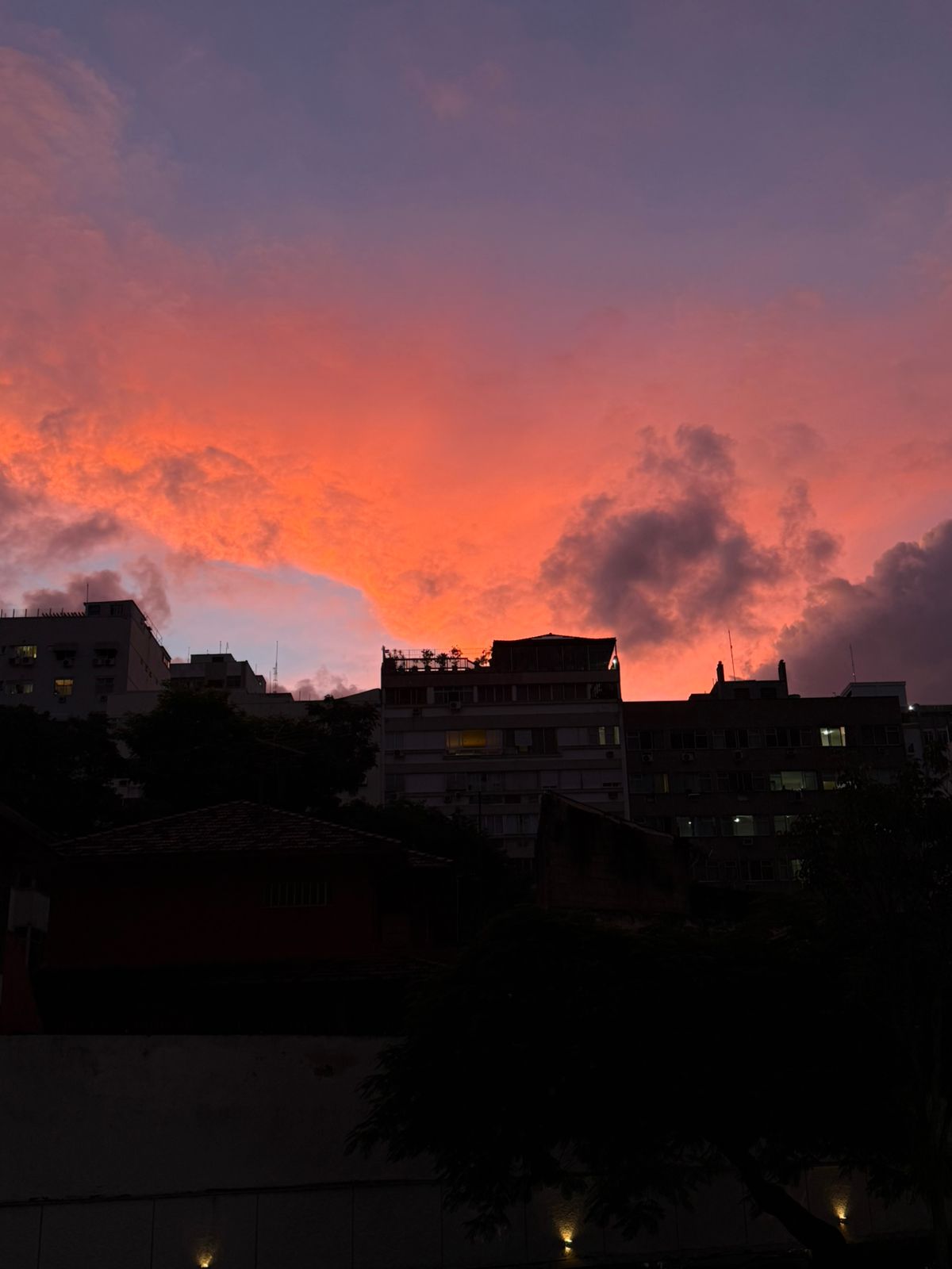 Tirei essa foto um dia logo depois de uma reunião de família...