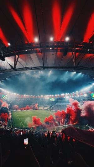 Como explicar essa sensação pra quem não é flamenguista?