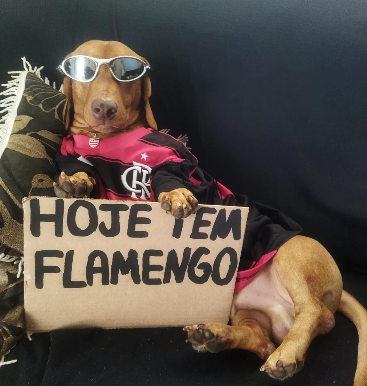 HOJE TEM MENGÃO 