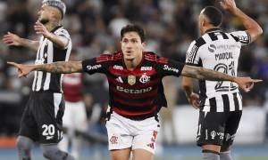 MENGÃO ATROPELA O FOGÃO EM NOITE DE PEDRO COM GOL E ASSISTÊNCIA!!!