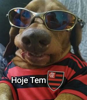 Hoje tem 